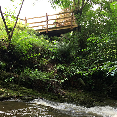 River Cabin deck overhanging the mill stream