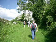 Walking in Mid Wales