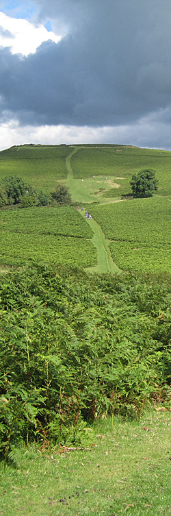 Track in the Brecon Beacons